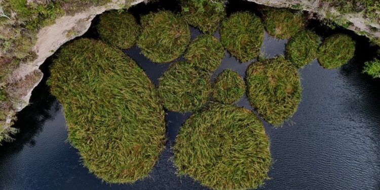 Impacta a visitantes “El Zacatón”, el cenote más profundo del planeta