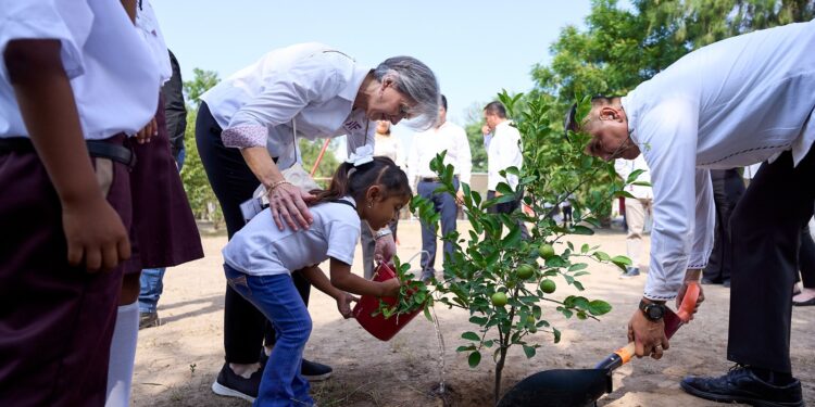 Apapacha DIF Tamaulipas a cerca de 170 mil niñas y niños en todo el estado