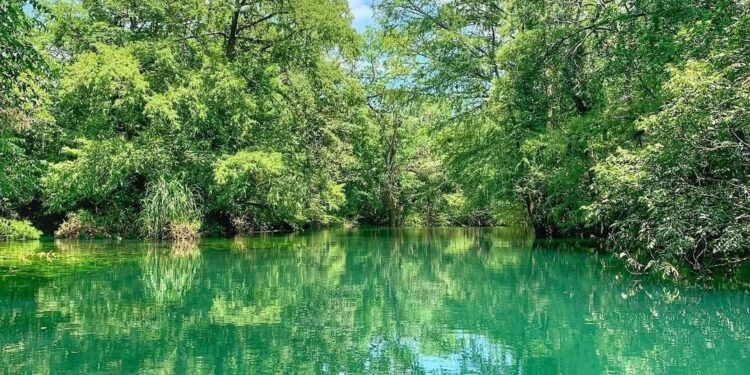 Gana premio turístico nacional Reserva de la Biosfera El Cielo