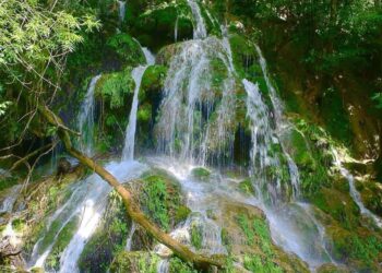 Gana premio turístico nacional Reserva de la Biosfera El Cielo