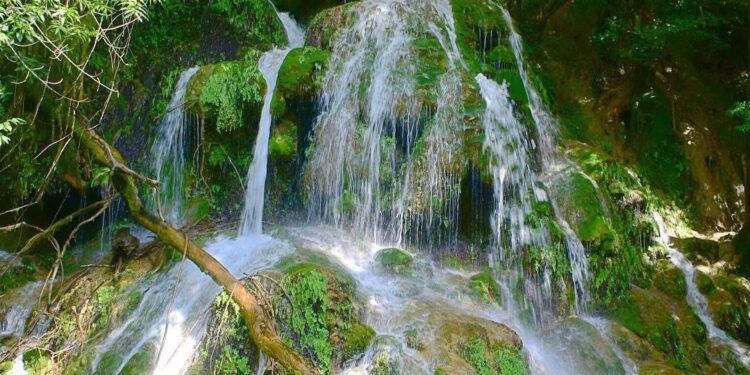 Gana premio turístico nacional Reserva de la Biosfera El Cielo