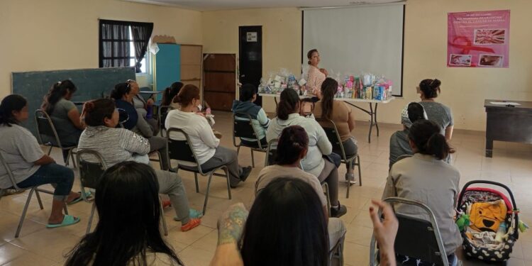 Reciben mujeres del CEDES Reynosa artículos de higiene y fórmulas lácteas para sus hijos e hijas