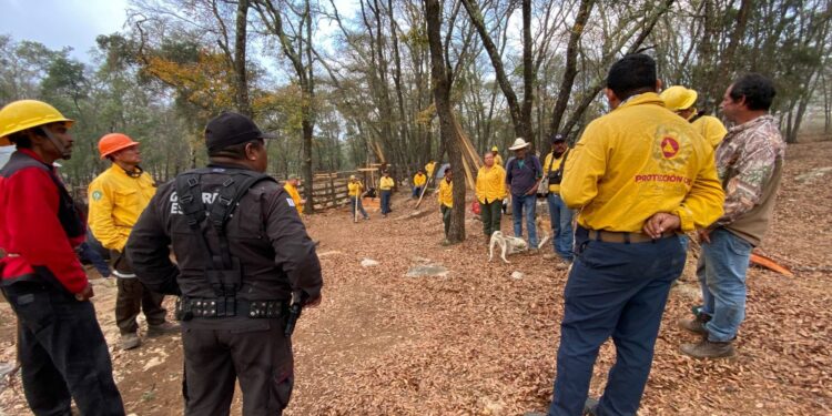 A través del Plan Tamaulipas se suma Guardia Estatal al combate del incendio forestal en la Biósfera El Cielo