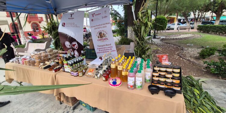Disfrutan sabor, cultura y tradición en el Festival del Maíz Cinteotl 2025