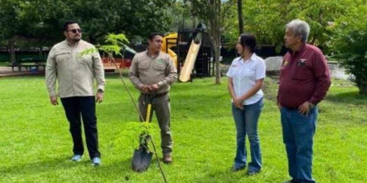 Consolida la UAT su compromiso con el medio ambiente a través de la Facultad de Ingeniería y Ciencias