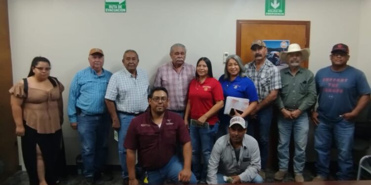 Refuerza Tamaulipas acciones de sanidad animal ante declaratoria de zona libre del gusano barrenador