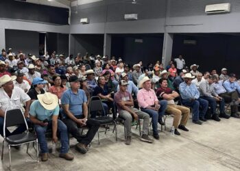 Refuerza Tamaulipas acciones de sanidad animal ante declaratoria de zona libre del gusano barrenador