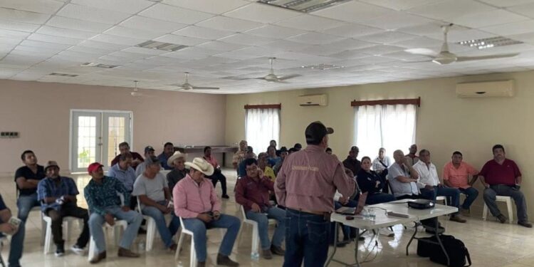 Refuerza Tamaulipas acciones de sanidad animal ante declaratoria de zona libre del gusano barrenador