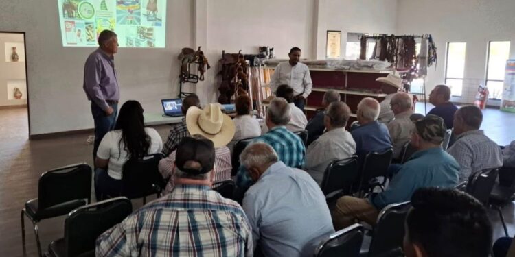 Refuerza Tamaulipas acciones de sanidad animal ante declaratoria de zona libre del gusano barrenador
