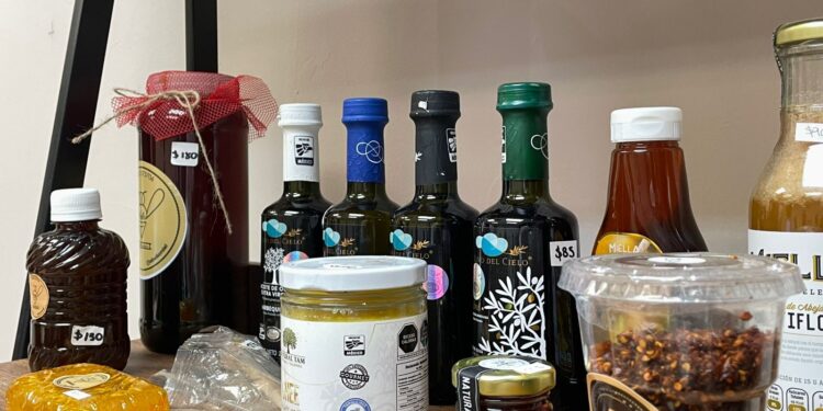 Impulsa Oficina de Representación en Nuevo León el programa “Punto Tamaulipas” para promover identidad, cultura y talento local