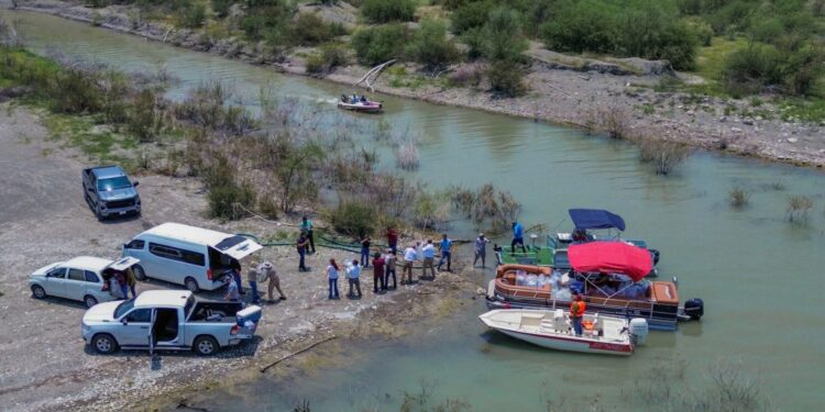 Siembran lobinas en la presa Vicente Guerrero para impulsar la pesca deportiva