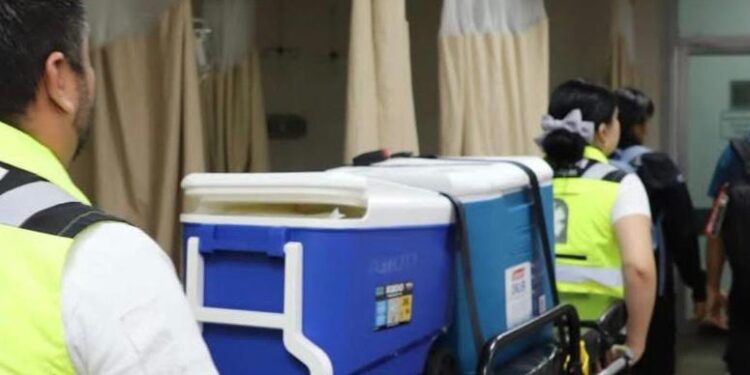 Aumenta donación y transplantes de órganos en Tamaulipas, dando esperanza de vida a 300 personas