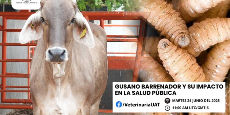 Dará la UAT conferencias sobre gusano barrenador y su impacto en la salud pública