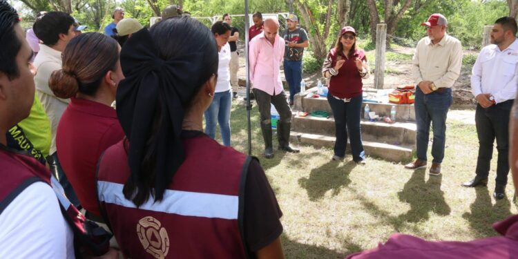 Instruyen a municipios en protocolos para manejo de cocodrilos