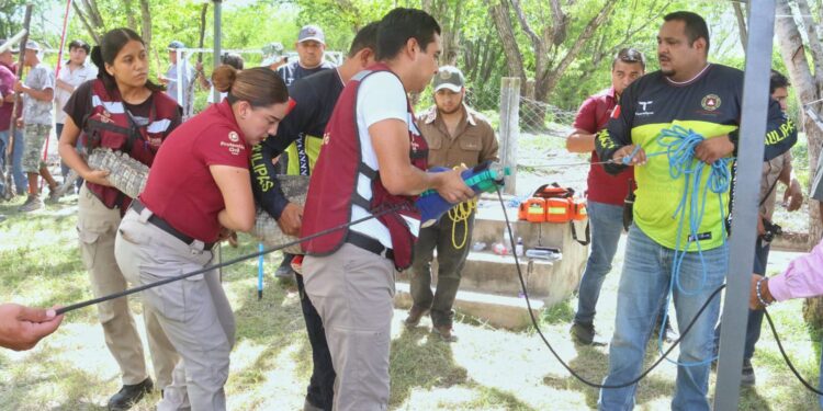 Instruyen a municipios en protocolos para manejo de cocodrilos