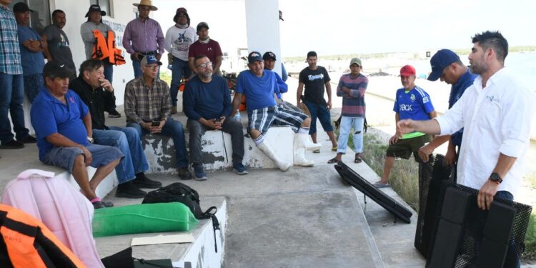 Inicia Gobierno del Estado de Tamaulipas instalación de 14 granjas de ostión en beneficio de productores pesqueros