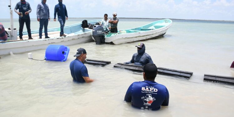 Inicia Gobierno del Estado de Tamaulipas instalación de 14 granjas de ostión en beneficio de productores pesqueros