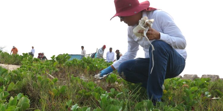 Activan Tamaulipas y Federación acciones para conservación de playas