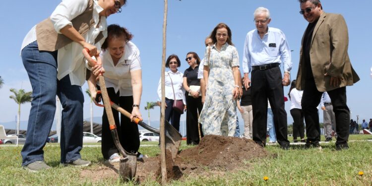 Fomenta SEDUMA reforestación con visión sostenible en el Parque Bicentenario