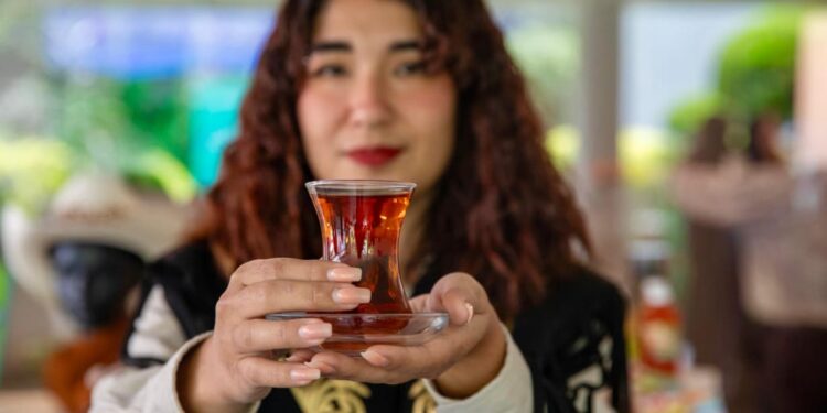 Es Tamaulipas, invitado de honor en Centro Cultural de Turquía