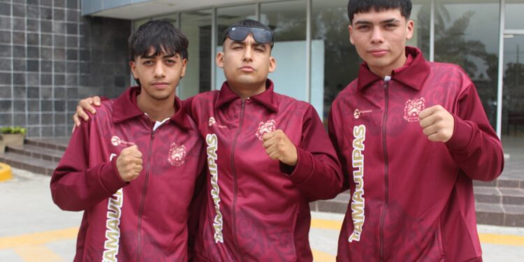 Participarán once boxeadores de Tamaulipas en Olimpiada Nacional