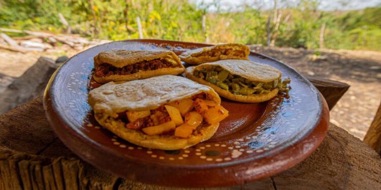 Proyectan cabañas turísticas en «El Vergel tamaulipeco”