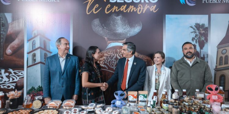 Tamaulipas volverá a ser la joya del turismo nacional: Américo