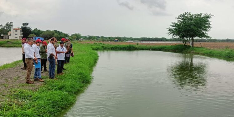 Refuerzan capacitación técnica para impulsar la acuacultura sustentable de ostión