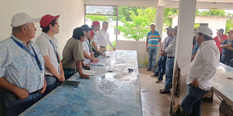 Refuerzan capacitación técnica para impulsar la acuacultura sustentable de ostión