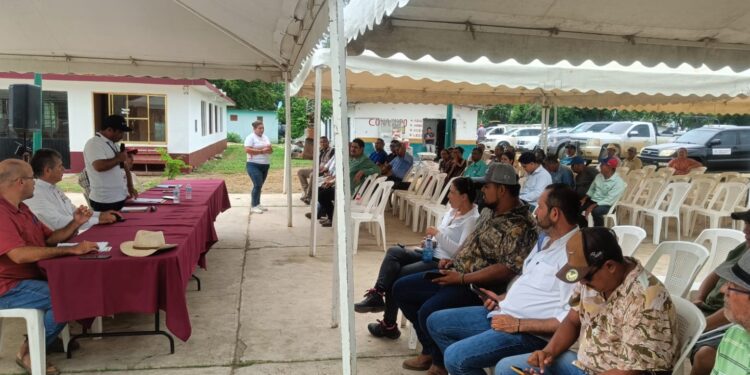 Refuerzan capacitación técnica para impulsar la acuacultura sustentable de ostión