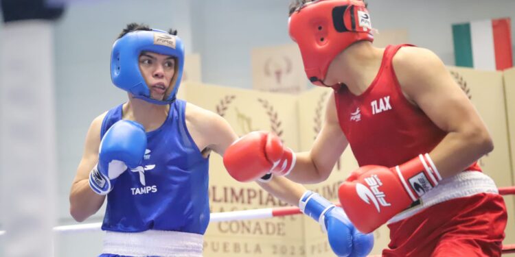 Cierra Tamaulipas con una medalla de oro y tres de bronce la Olimpiada Nacional 2025; fueron 153 preseas en total