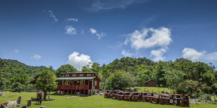 Es Biósfera El Cielo, un paisaje maravilloso en Tamaulipas