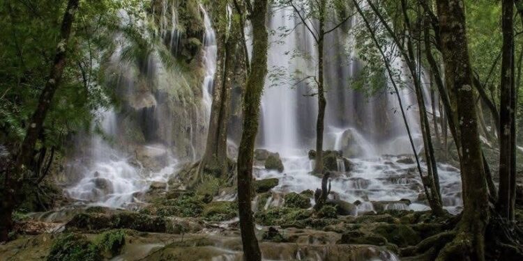 Es Biósfera El Cielo, un paisaje maravilloso en Tamaulipas