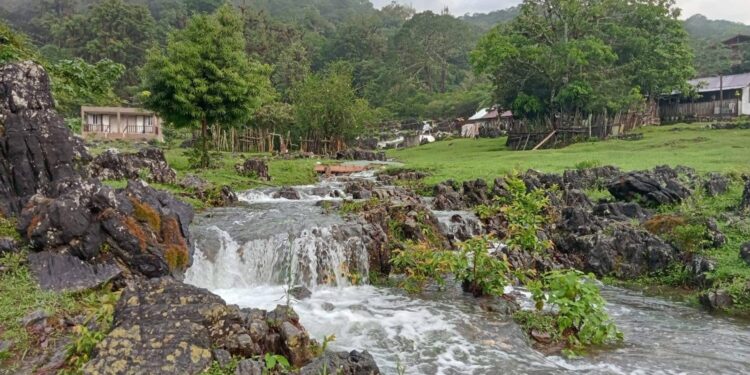 Es Biósfera El Cielo, un paisaje maravilloso en Tamaulipas