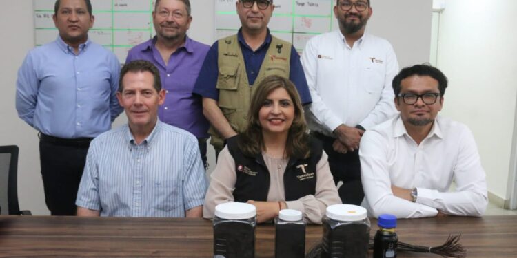 Impulsa SEDUMA proyecto ambiental contra llantas en desuso