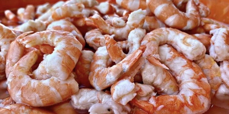 Se posiciona Soto la Marina como tercer destino turístico