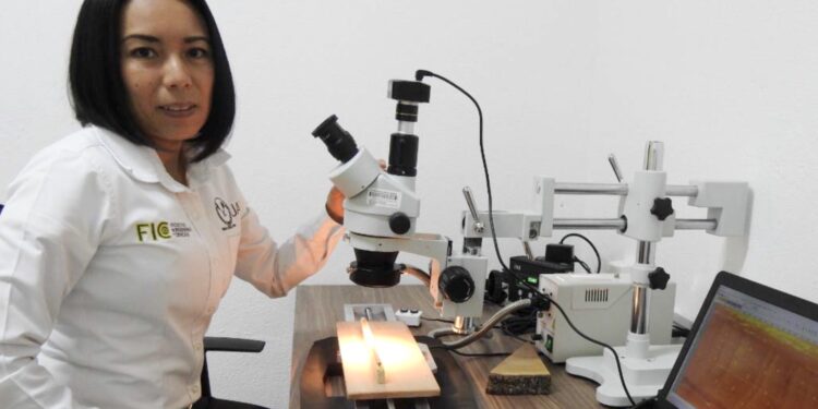 Investigadores de la UAT obtienen certificación nacional