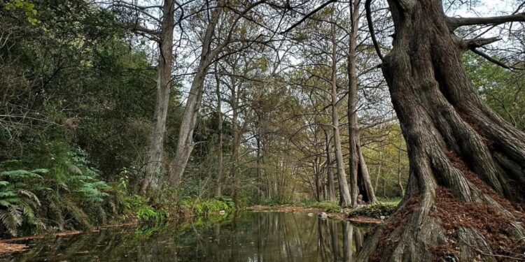 Impulsan desarrollo turístico de Ciudad Victoria