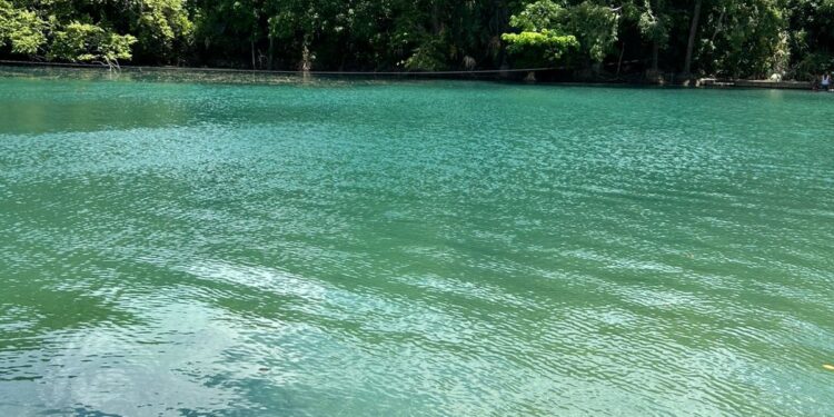 Avanza Corredor Gastronómico Interejidal: Turismo