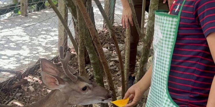 Genera Comisión de Parques guardianes de la naturaleza