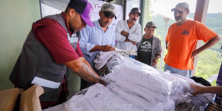 DIF Tamaulipas impulsa proyecto de “Producción Sostenible de Miel” en comunidades rurales