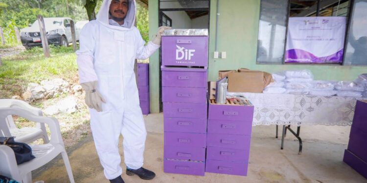 DIF Tamaulipas impulsa proyecto de “Producción Sostenible de Miel” en comunidades rurales