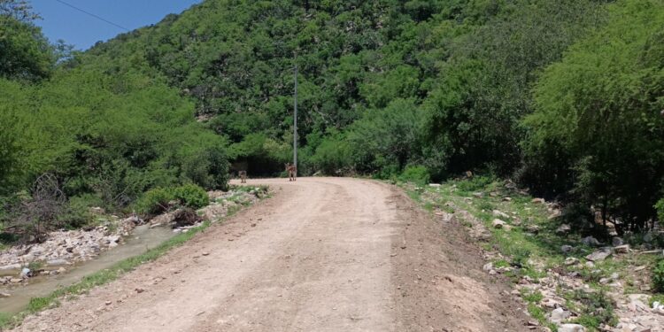 Impulsa gobierno de Américo comunidades rurales de San Nicolás