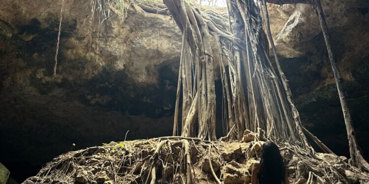 Con capacitación, certificación y registro se fortalece el turismo en Tamaulipas