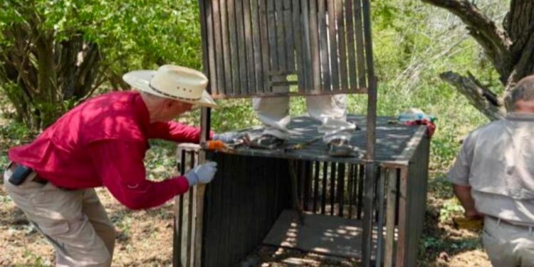 Promueve Gobierno de Tamaulipas programas de conservación de fauna