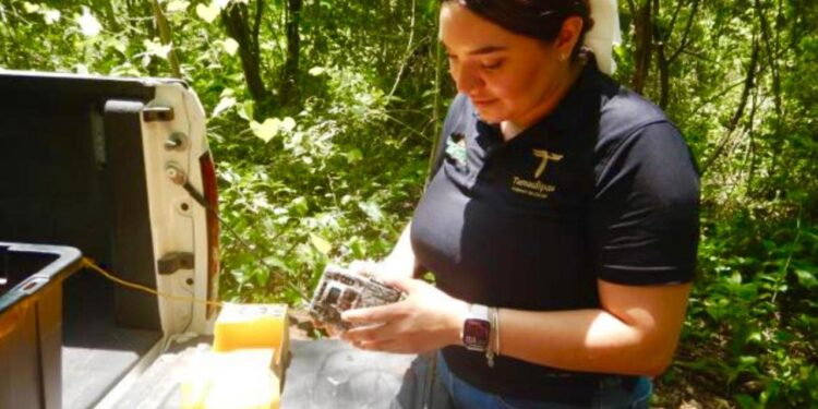 Promueve Gobierno de Tamaulipas programas de conservación de fauna