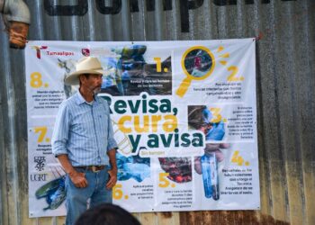 Productores tamaulipecos se suman a la prevención del gusano barrenador