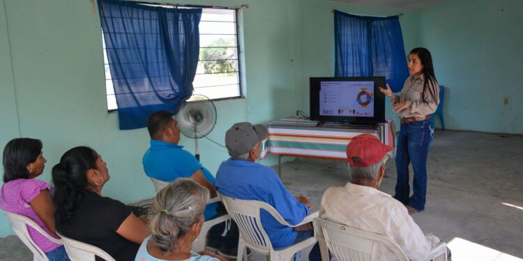 Productores tamaulipecos se suman a la prevención del gusano barrenador