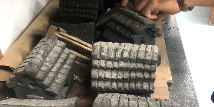 Impulsa Museo Tamux refugios para insectos y jardines polinizadores