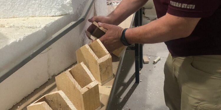 Impulsa Museo Tamux refugios para insectos y jardines polinizadores